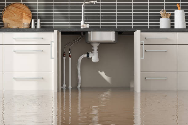 Best Water damage mitigation services  in Charles Town, WV
